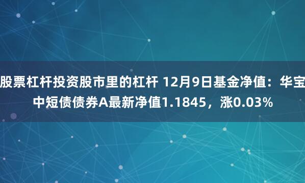 股票杠杆投资股市里的杠杆 12月9日基金净值：华宝中短债债券A最新净值1.1845，涨0.03%