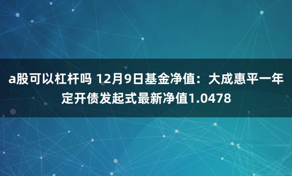 a股可以杠杆吗 12月9日基金净值：大成惠平一年定开债发起式最新净值1.0478