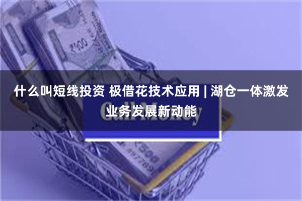 什么叫短线投资 极借花技术应用 | 湖仓一体激发业务发展新动能