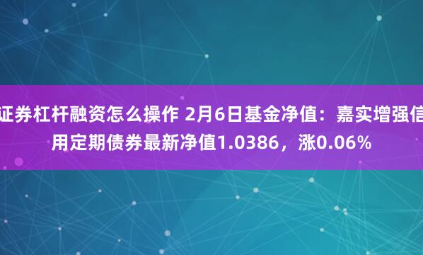 证券杠杆融资怎么操作 2月6日基金净值：嘉实增强信用定期债券最新净值1.0386，涨0.06%