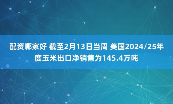 配资哪家好 截至2月13日当周 美国2024/25年度玉米出口净销售为145.4万吨