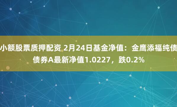 小额股票质押配资 2月24日基金净值：金鹰添福纯债债券A最新净值1.0227，跌0.2%