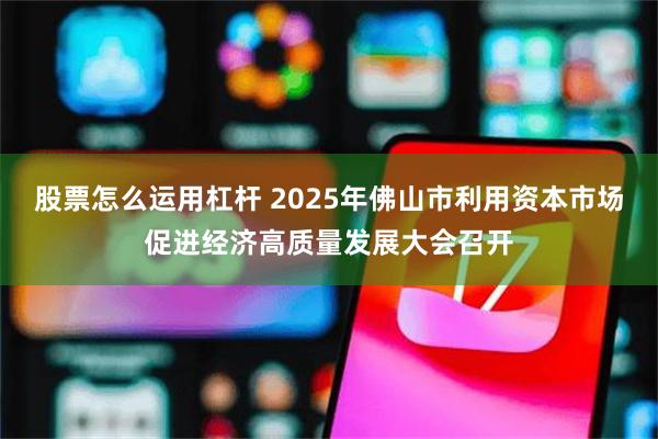 股票怎么运用杠杆 2025年佛山市利用资本市场促进经济高质量发展大会召开